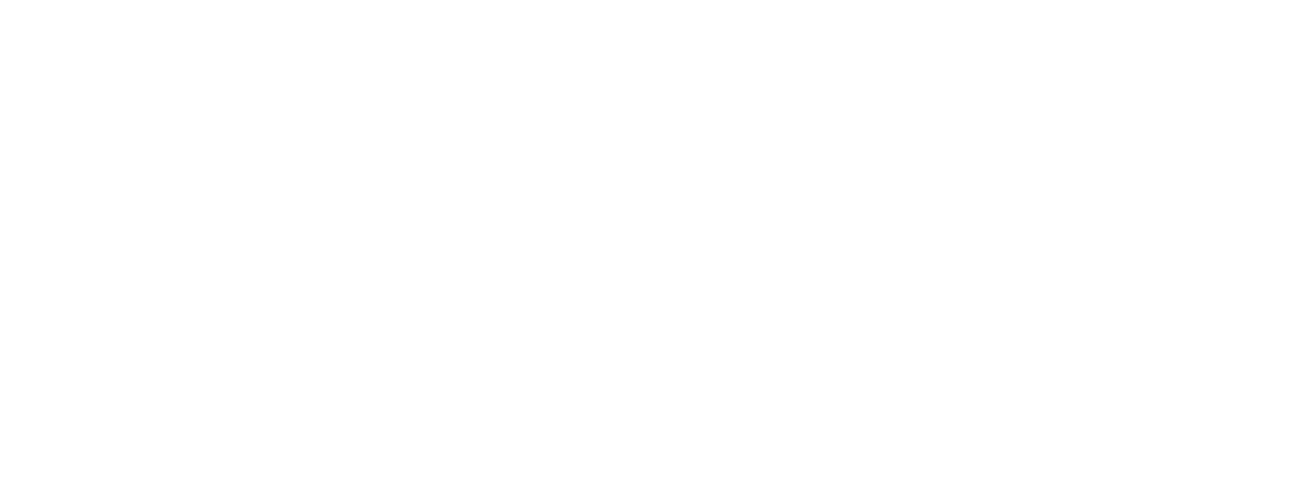 absolute well services white